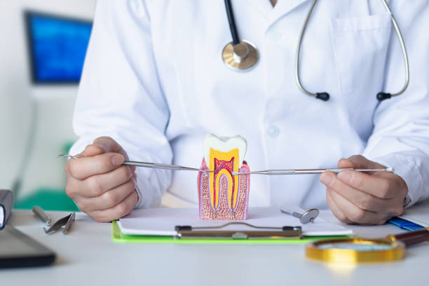 Best Emergency Dental Extractions in Chenoa, IL